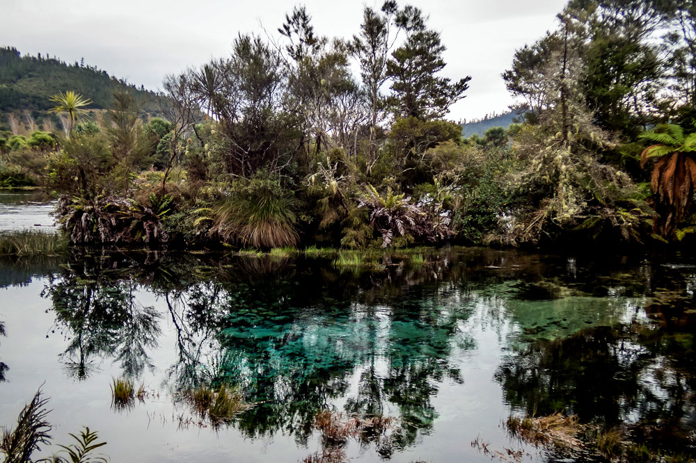 New Zealand